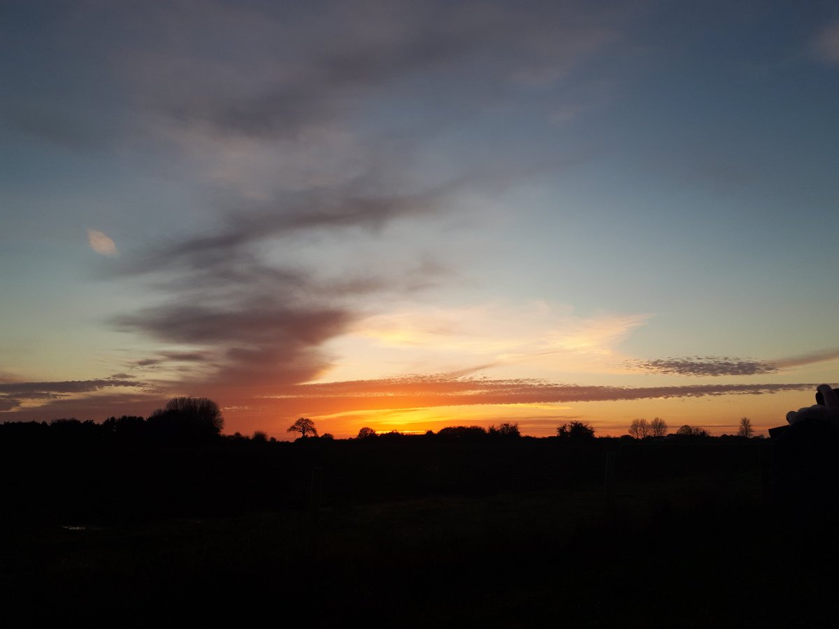 lolaroseMSP's tweet image. Photograhpy career in process...