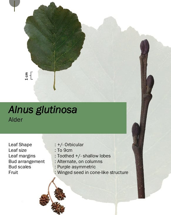 Kevin Widdowson tweet media