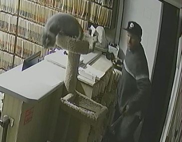 *Attempt to Identify* The pictured male burglarized a Veterinary Clinic and Groomer in Sandy on 11/20/20. Please contact us at (801) 799-3000 if you recognize him. Ref. case # 20-58360.