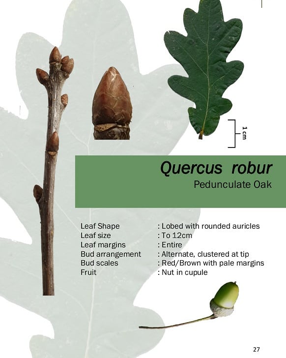 Kevin Widdowson tweet media