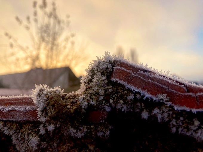 Frosted mornings. https://t.co/fdpisMoagw<a href="/tag/newprofilepic"class="tags"><span>#newprofilepic</span></a>