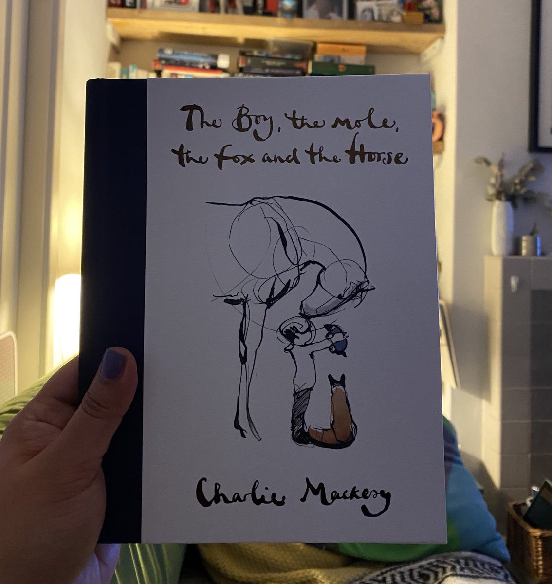 Thread of my year in books May 2020The Boy, The Mole, The Fox and the Horse - Charlie MackesyThe Poetry Pharmacy