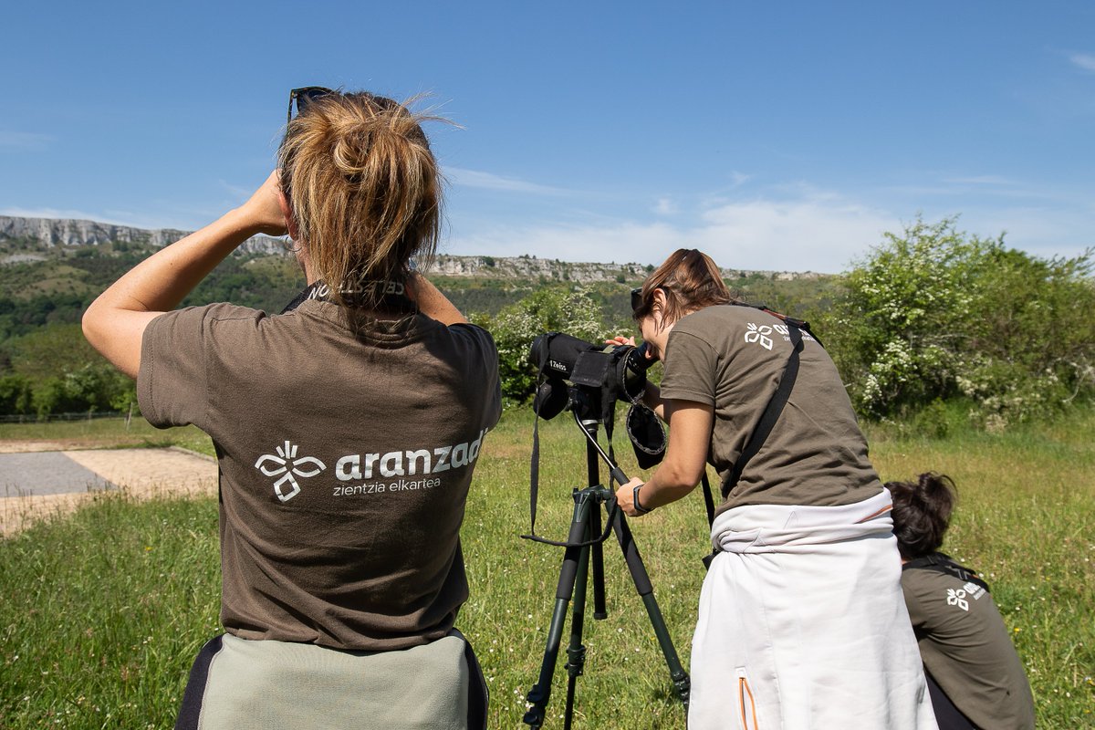 aranzadi's tweet photo. Aranzadi participa hoy en los encuentros virtuales de la Red Educación Pirineos Vivos.
Aranzadik gaur Pirineo Bizirik Heziketarako Sareko online topaketatan parte hartzen du.

#REPV #REPV2020 #Ingurumenhezkuntza #Educaciónambiental #Pirineos 

https://t.co/Fscweu0xJO https://t.co/lZgbuda7oK
