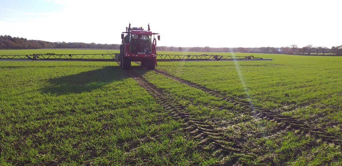 simon bailey tweet media