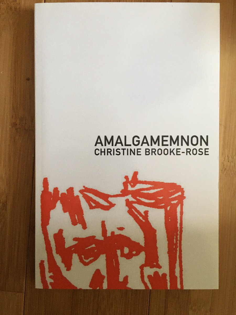 Christine Brooke-Rose’s beautiful metafiction
