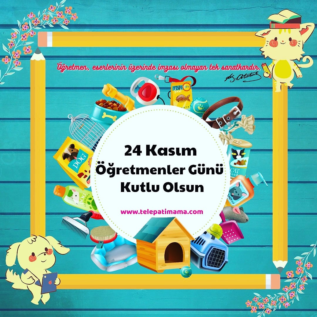 telepatimama's tweet photo. https://t.co/V7GuKRVF5F