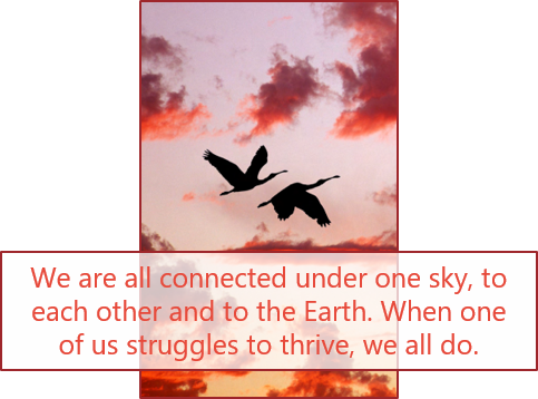 Dr. Sarah Saunders tweet media