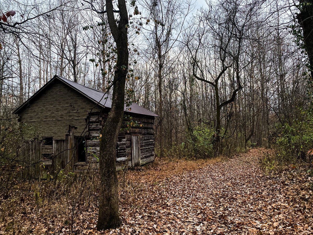 hikingwithshawn's tweet photo. Bost Cabin in the Cache River State Natural Area #southernillinois #cacheriver #ghosttown https://t.co/Vn3knA6NBw
