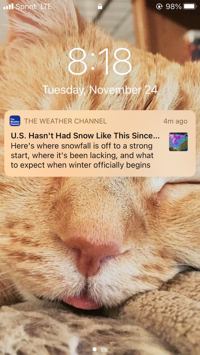 MorganKuster's tweet image. Fantastic. Exactly the message you want to see when you’re supposed to break ground on your new home this month. 🥸