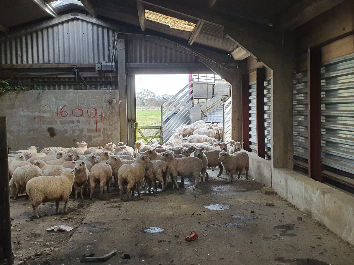 Derelict building, a borrowed gate 
and we have a loading bay!