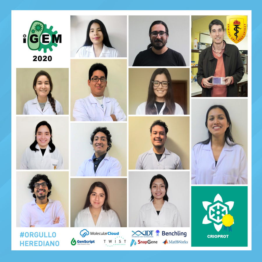 InvestigaUPCH's tweet photo. 🏅¡Equipo de estudiantes de la Cayetano (@igem_upch_peru) ganan la medalla de oro en el @iGEM 2020! https://t.co/IcVOsKceqa  | #PasiónPorLaCiencia https://t.co/vb2KeUFpDS