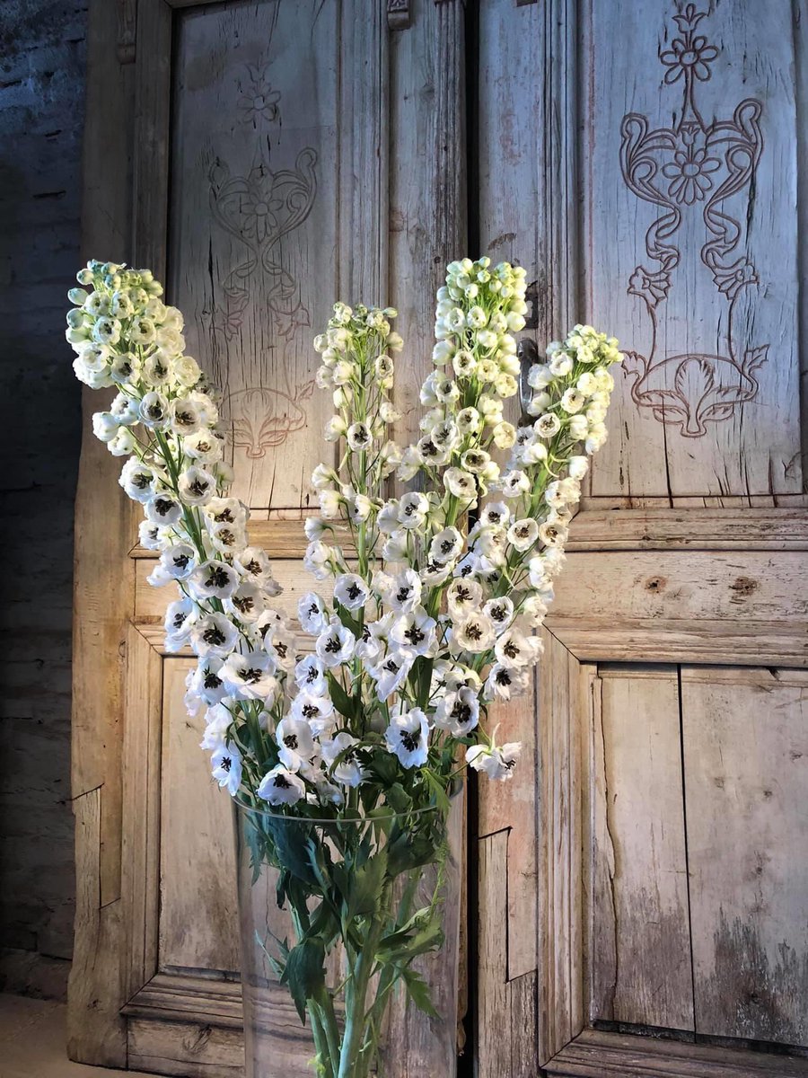 Temporary Pop-up store in collaboration with #Aalsmeer Lokaal and the beautiful furniture of #Brosi Oldenzaal
#inspiration #together #stronger #flowers #popupstore