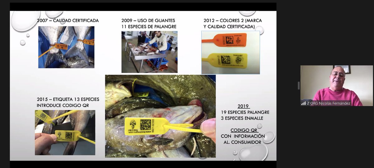 UN_FAO_GFCM's tweet photo. At the @WWF_Med #SSFUniversity virtual site visit we heard #fishers experience w/ improving fish marketing through #traceability.
The Conil cooperative utilizes a QR code to give info on who caught the fish, where, when, gear used & recipes❗️
Learn more: https://t.co/KHDK52rYvX https://t.co/U5pdZZbltj
