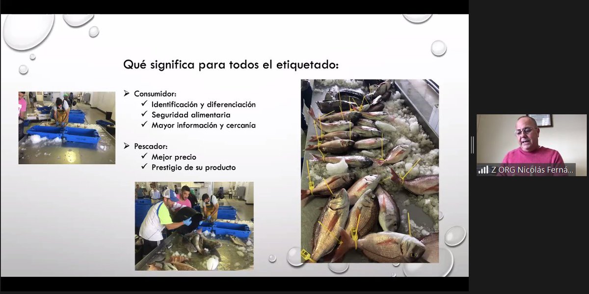 UN_FAO_GFCM's tweet photo. At the @WWF_Med #SSFUniversity virtual site visit we heard #fishers experience w/ improving fish marketing through #traceability.
The Conil cooperative utilizes a QR code to give info on who caught the fish, where, when, gear used & recipes❗️
Learn more: https://t.co/KHDK52rYvX https://t.co/U5pdZZbltj