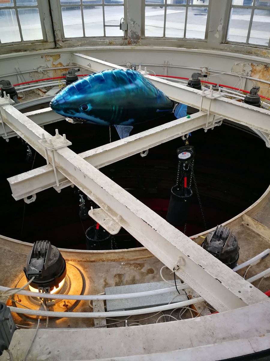 David Porter tweet media