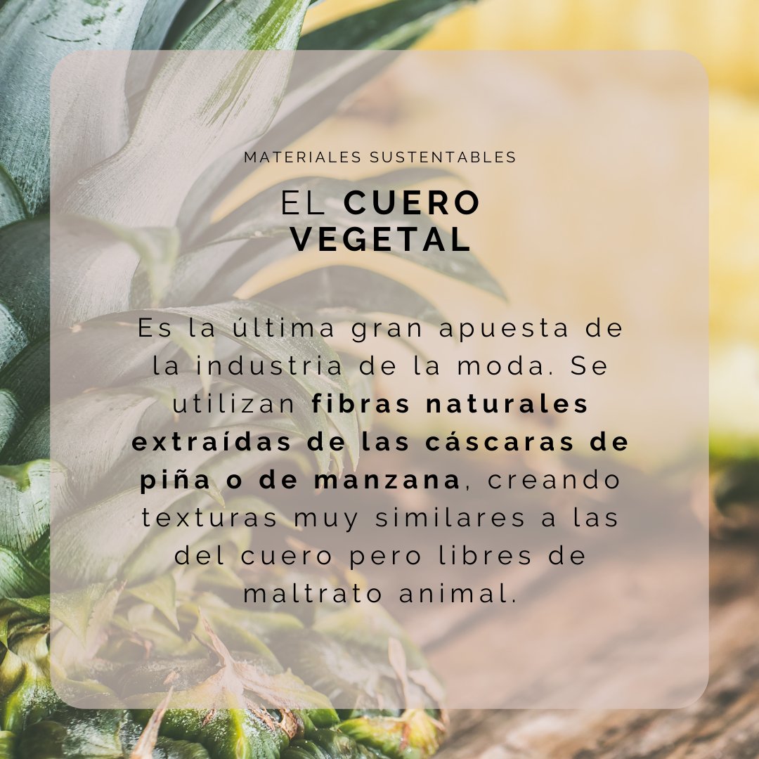 CavSustentables's tweet image. En CAV+S 🌿🌎 sabemos que la industria de la #Moda 👚es altamente contaminante y por eso te traemos una selección de #MaterialesSustentables 🧶  para que te fijes en tus prendas de ropa. ¿Y tú? ¿Qué otro conoces?