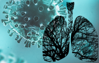 IOPPBio's tweet photo. Breath Research on #COVID19 and Related Applications: Developments, Discoveries and Deliberations is a new Special Issue in Journal of #BreathResearch, Guest edited by @_jbeauchamp and Makoto Sawano now open and welcoming submissions https://t.co/4US8GIVa1J #Coronavirus #Aerosol https://t.co/oBLOJ2nYGu