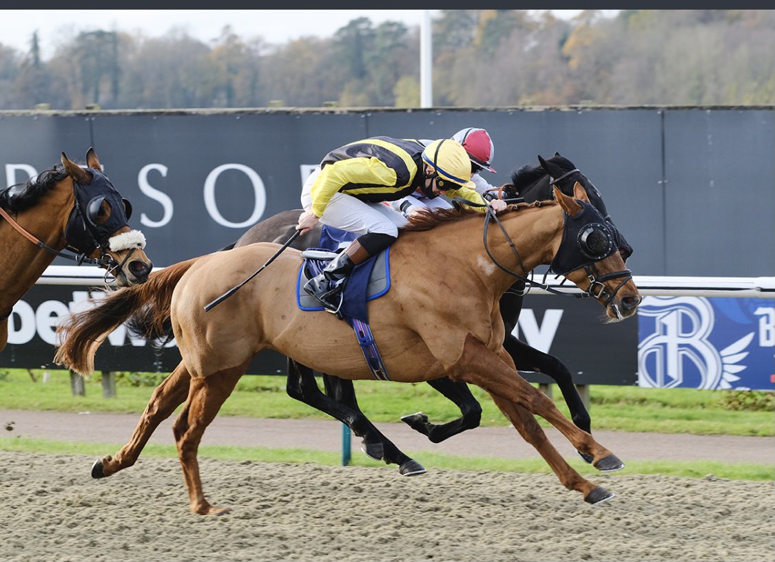 Great to get a winner on kindergarten kop for trainer David flood and owners Royal Wootton Bassett racing limited @LingfieldPark .
