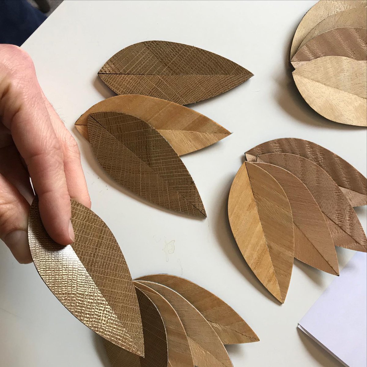 Taylor Howes tweet media