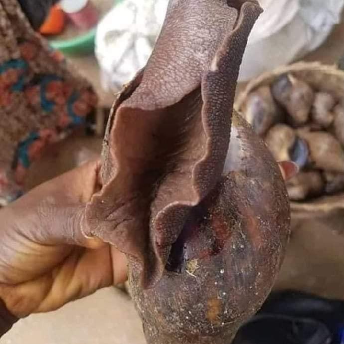 _tundeednut_'s tweet photo. What is your mind telling you this is? 😏 https://t.co/ggvAjfnUQB