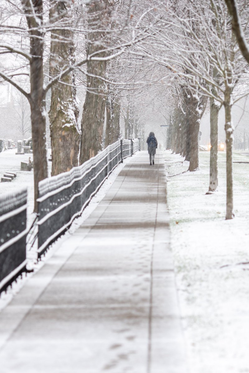 mattcashore's tweet photo. 1st snow of 2020-21: https://t.co/pPUlonw37a
