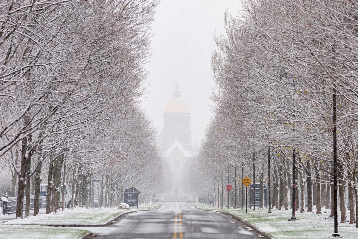 mattcashore's tweet photo. 1st snow of 2020-21: https://t.co/pPUlonw37a