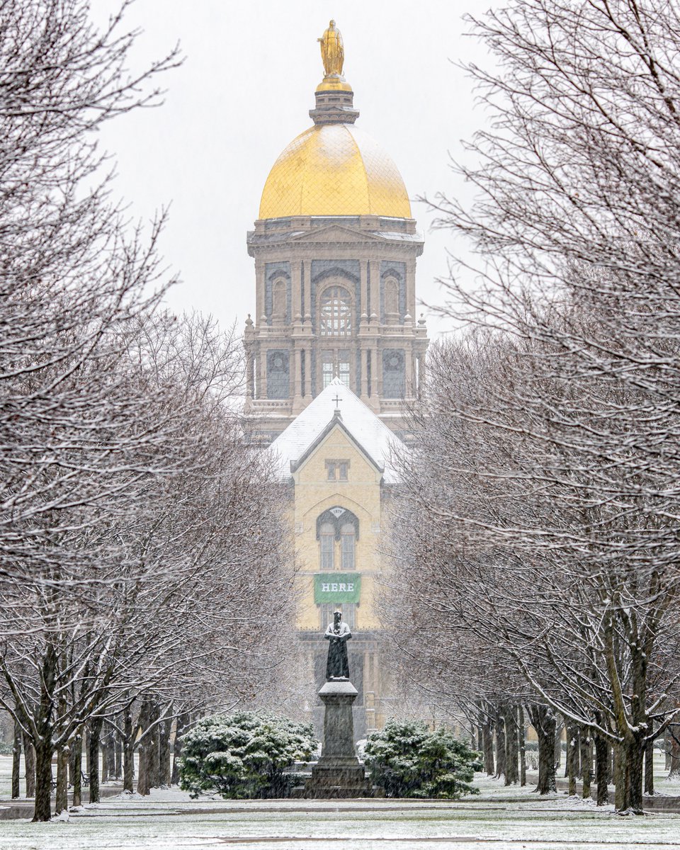 mattcashore's tweet photo. 1st snow of 2020-21: https://t.co/pPUlonw37a