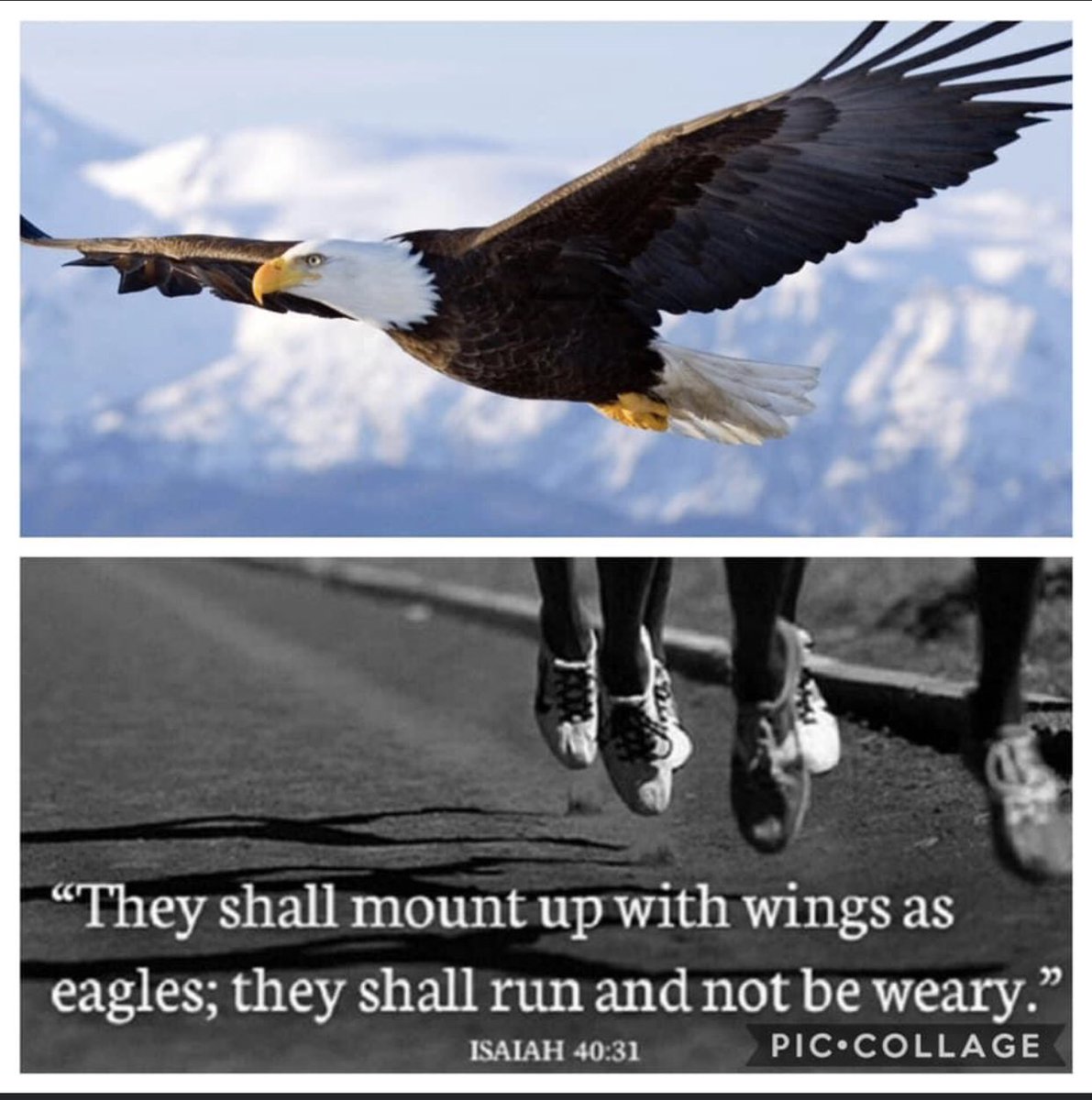 SaladoXc's tweet photo. Wake up Eagles! It’s Race Day! ❤️🦅🙌🏻#RuntheRock #STATE2020 https://t.co/SB4kRBgM3M