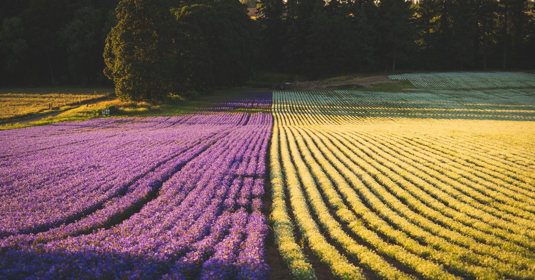 All #CircularTechnologies products are certified #organic, #crueltyfree and made with #sustainablysourced #natural ingredients.