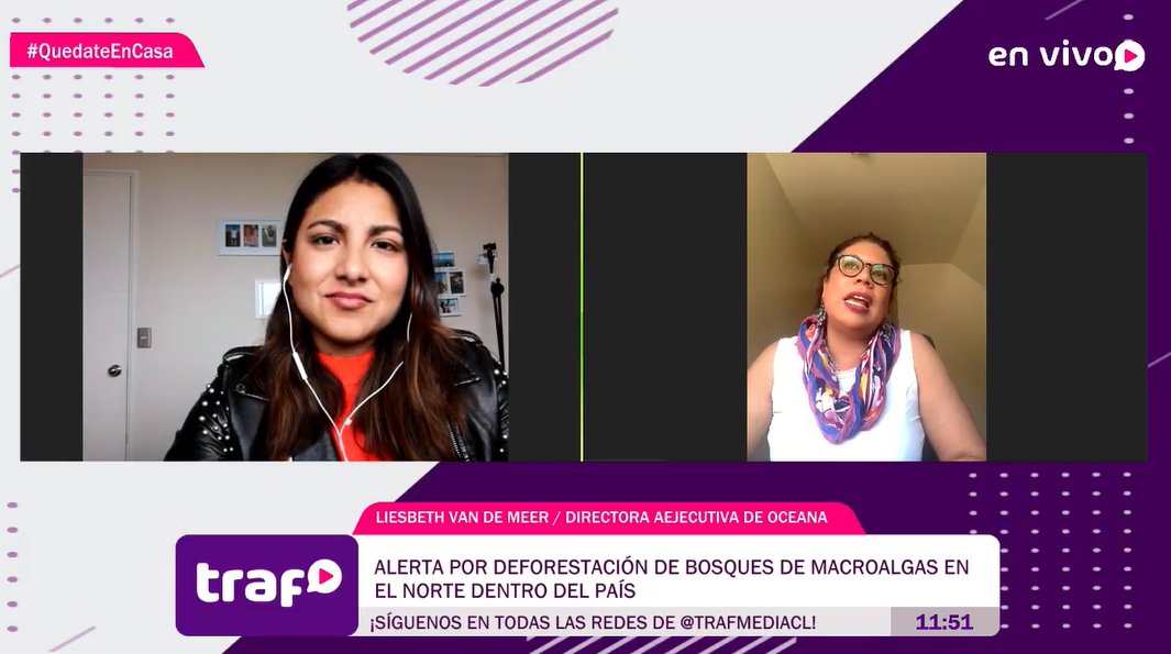 trafmediacl's tweet photo. 📱💻📺 AHORA: Liesbeth Van de Meer, directora ejecutiva de Oceana: "Es importante la educación de la gente. Las personas quieren que esto se legisle, pero si no se entiende a nivel nacional es muy difícil tener apoyo".

#NosVemosEnTraf

📡 Señal en vivo: https://t.co/OQzmk6aKTK https://t.co/CeegEZljTM