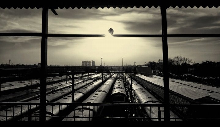 saharzaman's tweet image. A rare image of zero activity at the New Delhi railway station during #Lockdown : #Photgrapher T.Narayan

#HunarCharcha with @i_dhirajsingh .
By @Hunar_TV @indianphotofest