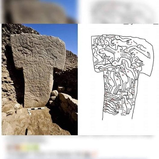 Ancient_MidEast's tweet photo. Details from T-shaped statute in Göbeklitepe

#archeology https://t.co/W14PBtUwjP