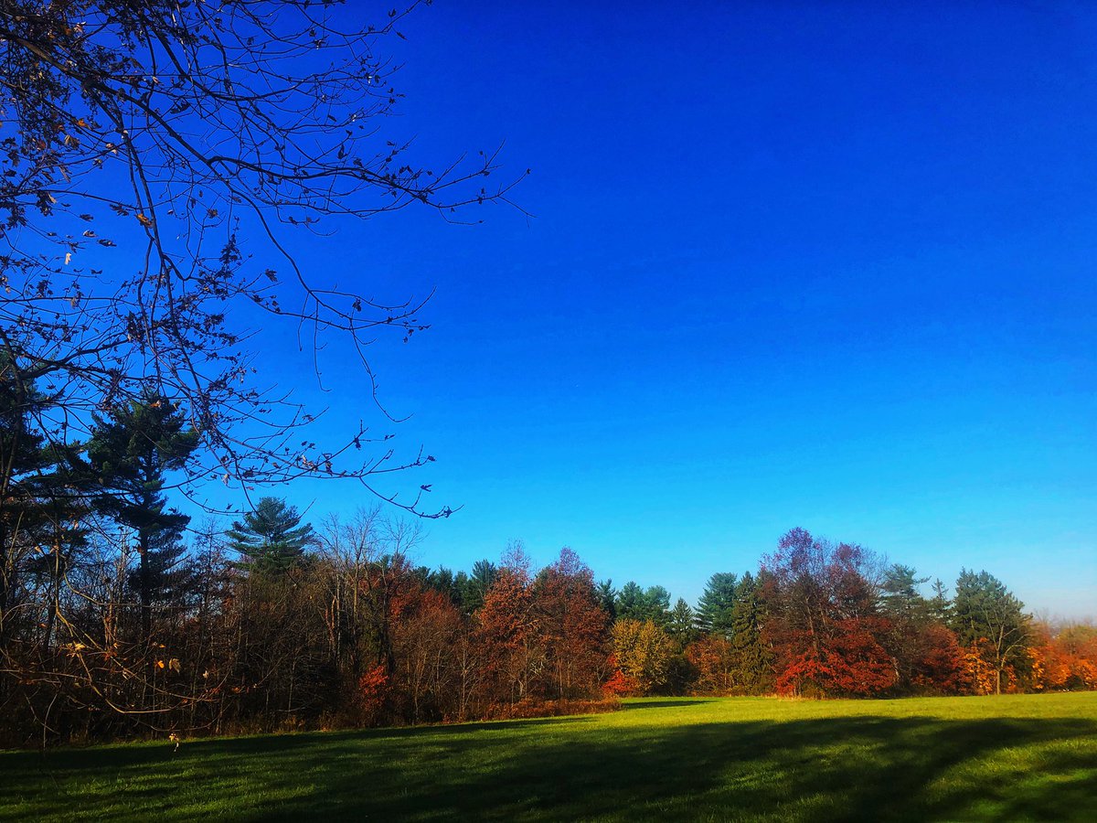 PartsLift's tweet photo. “Now in November nearer comes the sun down the abandoned heaven.” - D.H. Lawrence 🍁🍂🍁🍂🌾

#november #autumn #pennsylvania #buckscounty #PennsylvaniaIsBeautiful #landscape #landscapephotography #silverdale https://t.co/wlmja8tARs