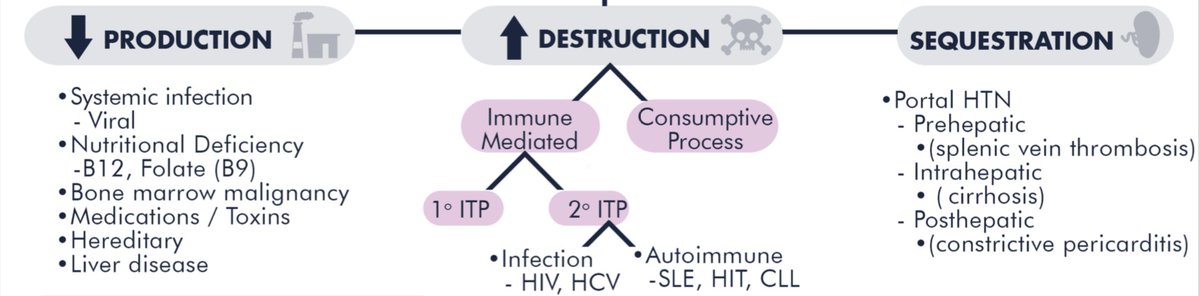 Thrombocytopenia is a broad topic!In Ep. 43 of RTL, Dr. Robert Stern,  @NavinKumarMD, &  @sonorato11 go over a general approach to thrombocytopenia Broadly, there are THREE umbrellas:1.  destruction2. Splenic sequestration 3.  production https://www.runthelistpodcast.com/s/RTL_Thrombocytopenia.pdf