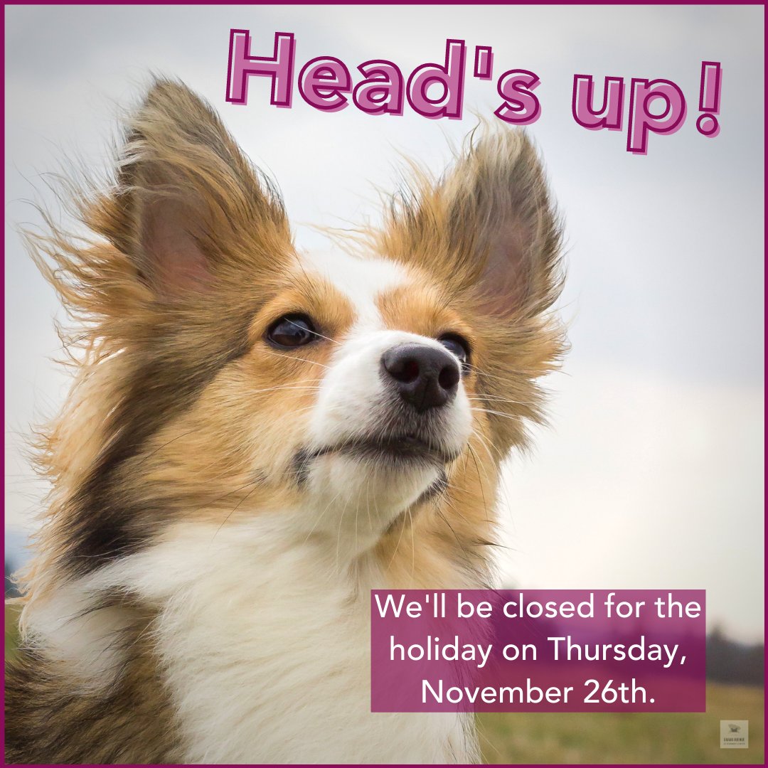 grand ave pet clinic