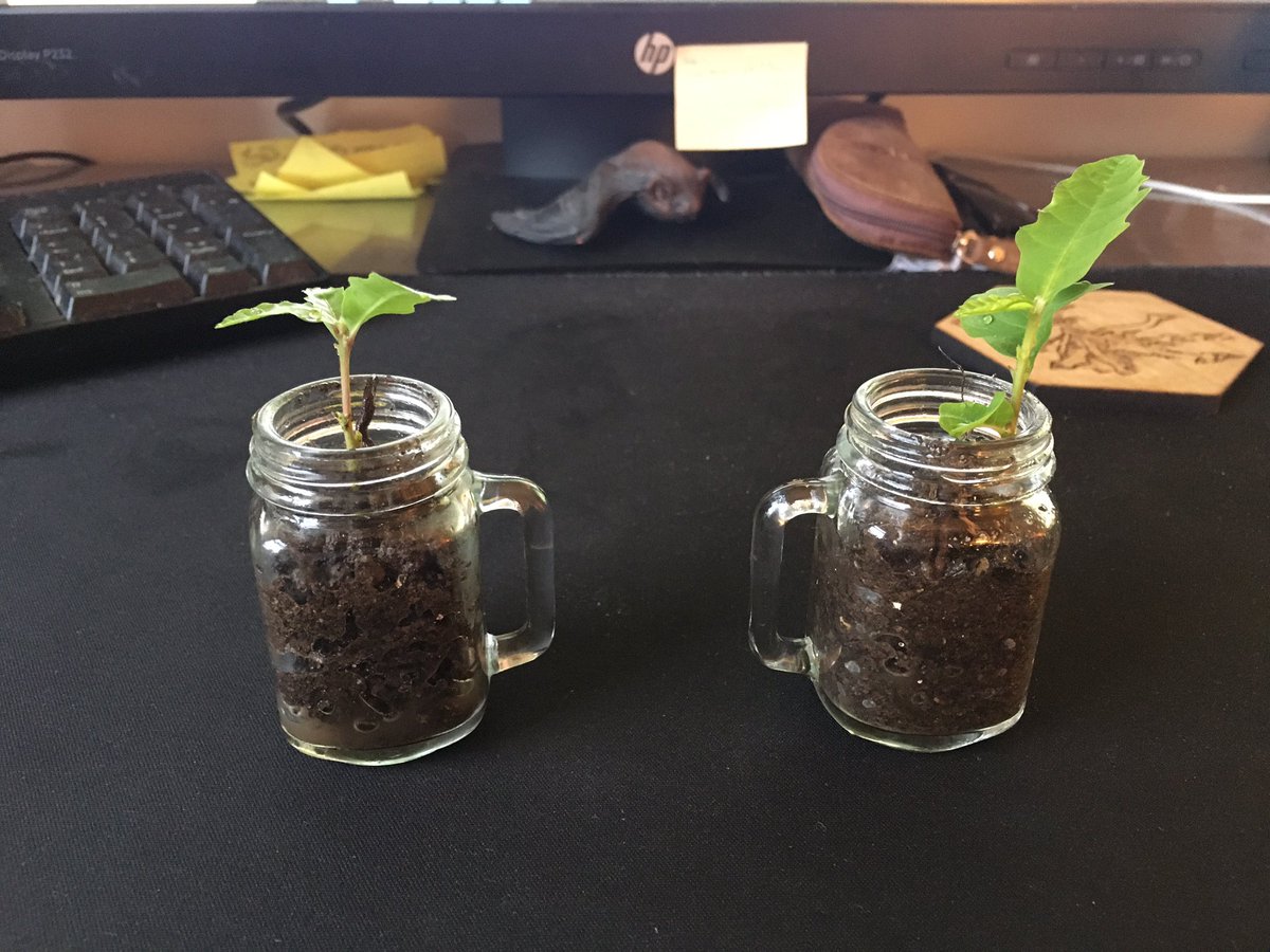 I’ve decided I’m ready for spring now.