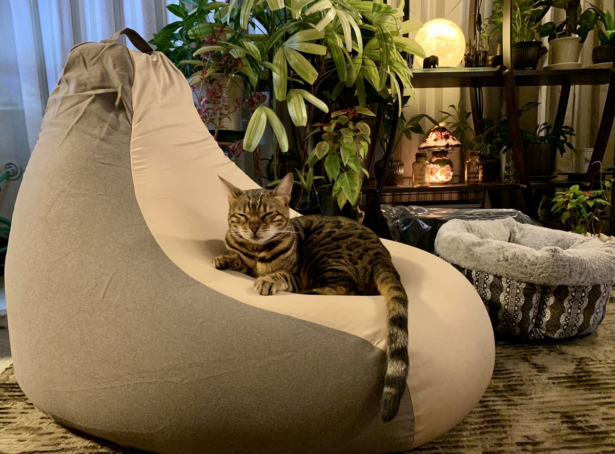 お買い上げいただきありがとうございます。とっても癒されるお写真です