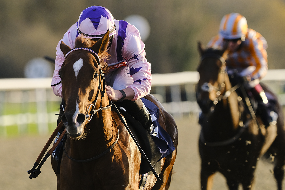 Lingfield Park tweet media