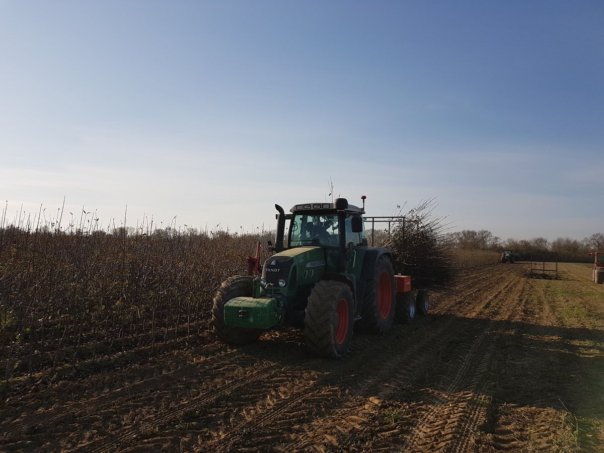 gradilis's tweet photo. Après les pruniers, c'est maintenant au tour de nos Knip Baum de STORY® Inored(cov) d'être arrachés.

#Story  #Novadi #CeuxQuiFontlesPlants https://t.co/PgPBuSO7W1