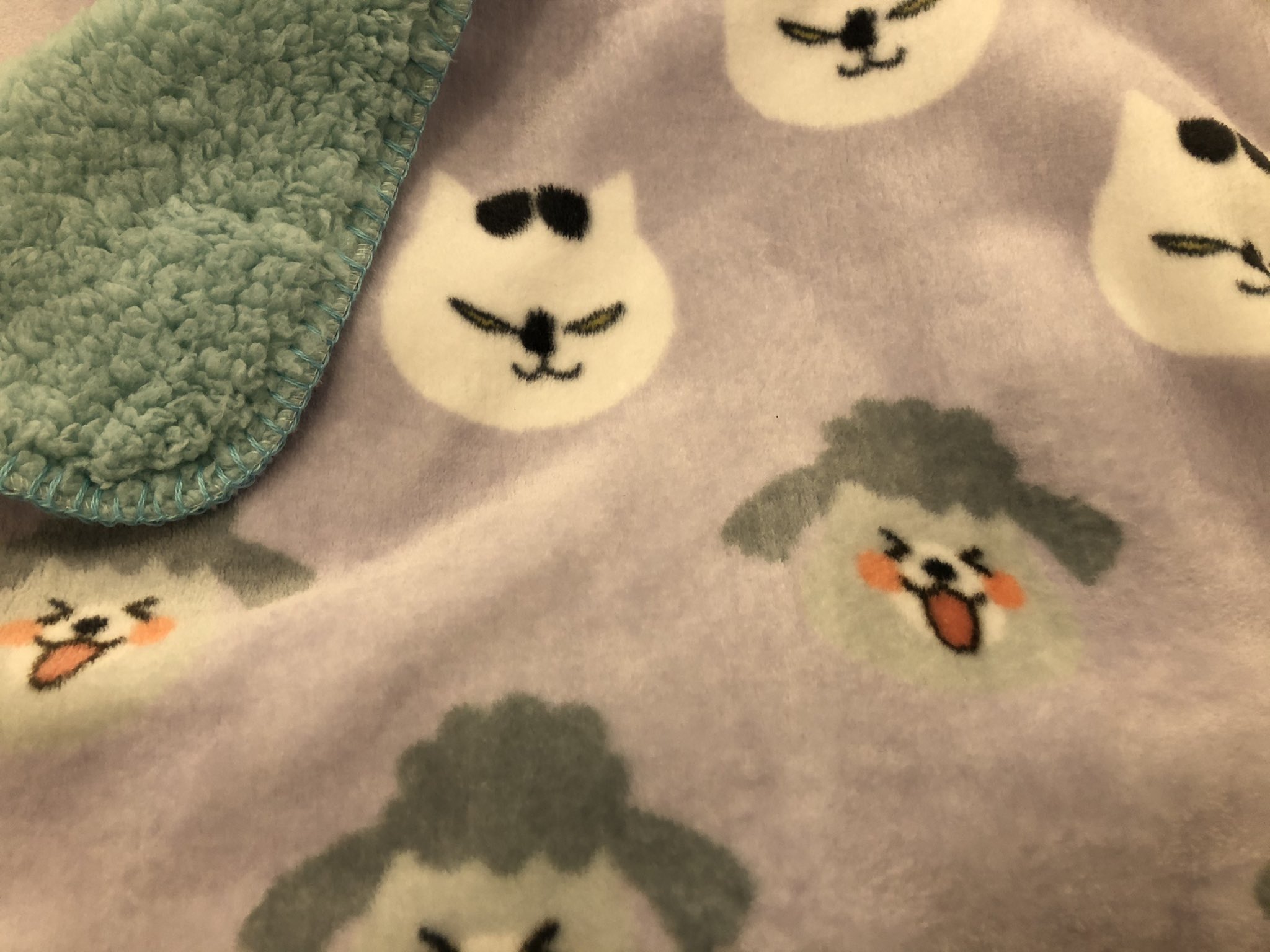 金澤まい しまむらで ブランケットゲットしました 買ってくれた母様ありがとう もう1種類あるんだけどなかったよぉ 犬と猫 犬と猫どっちも飼ってると毎日たのしい 金澤まい しまむらで ブランケットゲットしました 買ってくれた母様ありがとう もう1種類あるんだけどなかったよぉ 犬と猫 犬と猫どっちも飼ってると毎日たのしい