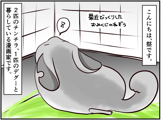 チンチライフ!更新されてます～?あみだの囁きの話!続きはURL?チンチラ#chinchilla#漫画が読めるハッシュタグ#エッセイ漫画 