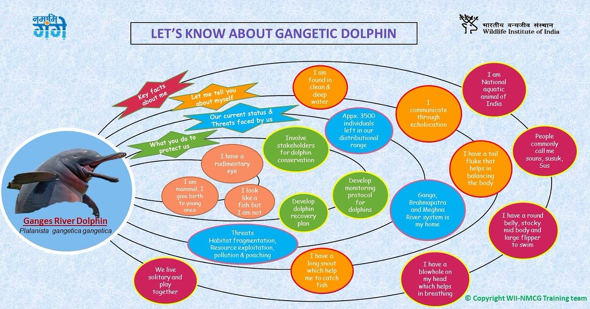 Release of Gangetic Dolphin awareness poster on the occasion of India Rivers Week 24th to 28th November 2020 and International Freshwater Dolphin Day.
#gangeticdolphins #dolphins #dolphins
#gangariver #freshwaterdolphin #riverdolphins #wiinmcgtraining @wii_dehradun_official