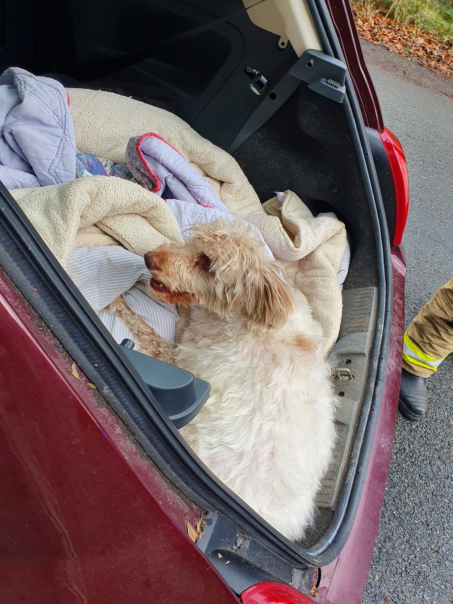 Earlier today, on-call Firefighters from Mytholmroyd helped to release this dog with it's paw stuck in a car seat 🐾 Crews managed to quickly free the dog with no harm done! 😁 P'awesome work all!! #NotJustFires