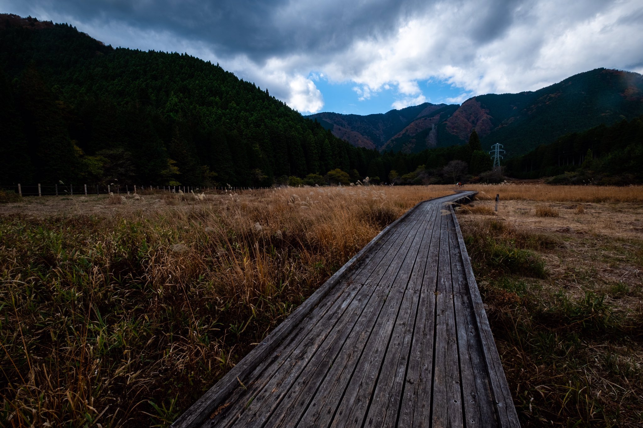 تويتر Kazuhiro Matsuki على تويتر 君の心へ続く永い一本道は いつも僕を勇気づけた とてもとてもけわしく細い道だったけど 今君を迎えにゆこう 青春の影 チューリップ 財津和夫 昭和 Fujinomiya Autumntowinter Xf1024mmf4 Xh1 Fujifilm Xseries