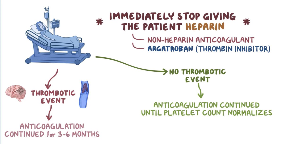 All pts w/ suspected or confirmed HIT need therapeutic (non-heparin) anticoagulation (AC)!Why?HIT Abs activate plateletsclots despite thrombocytopeniaFor HIT: continue AC until platelet count >150KFor HIT-related clot: continue AC for 3 months (like any provoked clot)