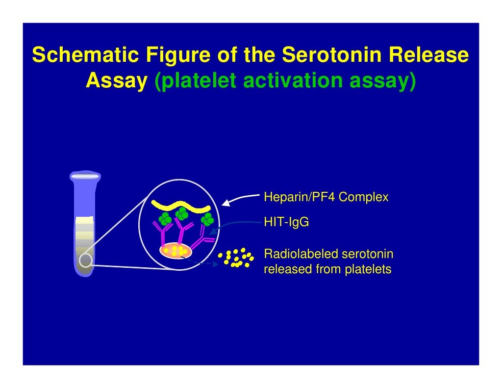 Anti-PF4 test has high NPV (98-99%), but low PPVa  anti-PF4 result requires confirmation w/ *gold standard functional test*: serotonin release assay (SRA)How does SRA work?If pt's serum has active heparin-PF4 IgG Ab  activate donor platelets   releasing serotonin 