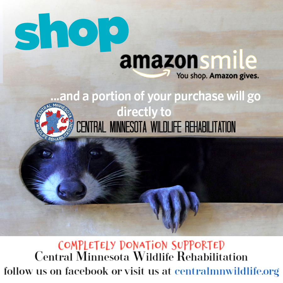 CtrlMNWildlife's tweet photo. If you plan to do any of your holiday shopping online, please consider adding CMWR to your AmazonSmile account. We would appreciate this so much! 

AmazonSmile
https://t.co/EqVcpZnFcV
CMWR Wishlist
https://t.co/NVJIfX4OzY https://t.co/NzjLXbNWRz
