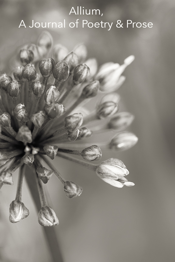 CPR! Don't forget that Allium is accepting submissions and that you could be part of beginning this new issue. Join this new chapter of Columbia College Chicago's history! Spread your roots and share your words with us ~ photo by @dulceylima