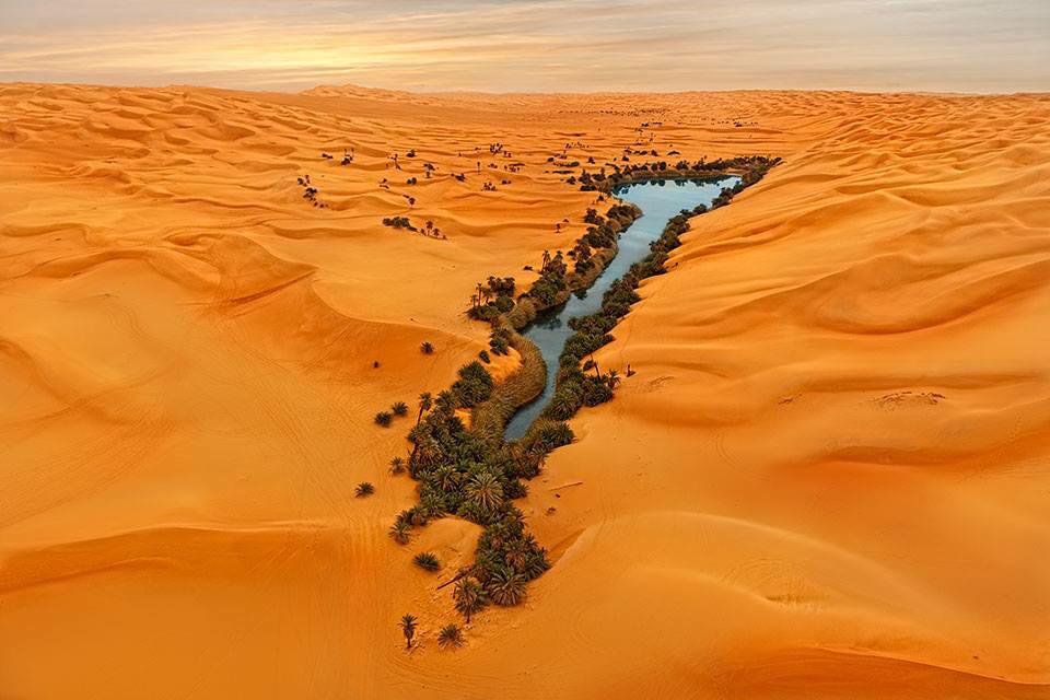 Kynes a pour objectif de transformer Dune, la planète désert, en planète verte et fertile. Pour cela, avec l'appui des habitants de Dune, les Fremens, il récupère l'humidité de l'atmosphère et procède à des plantations d'espèces pionnières pour végétaliser les dunes de sable...