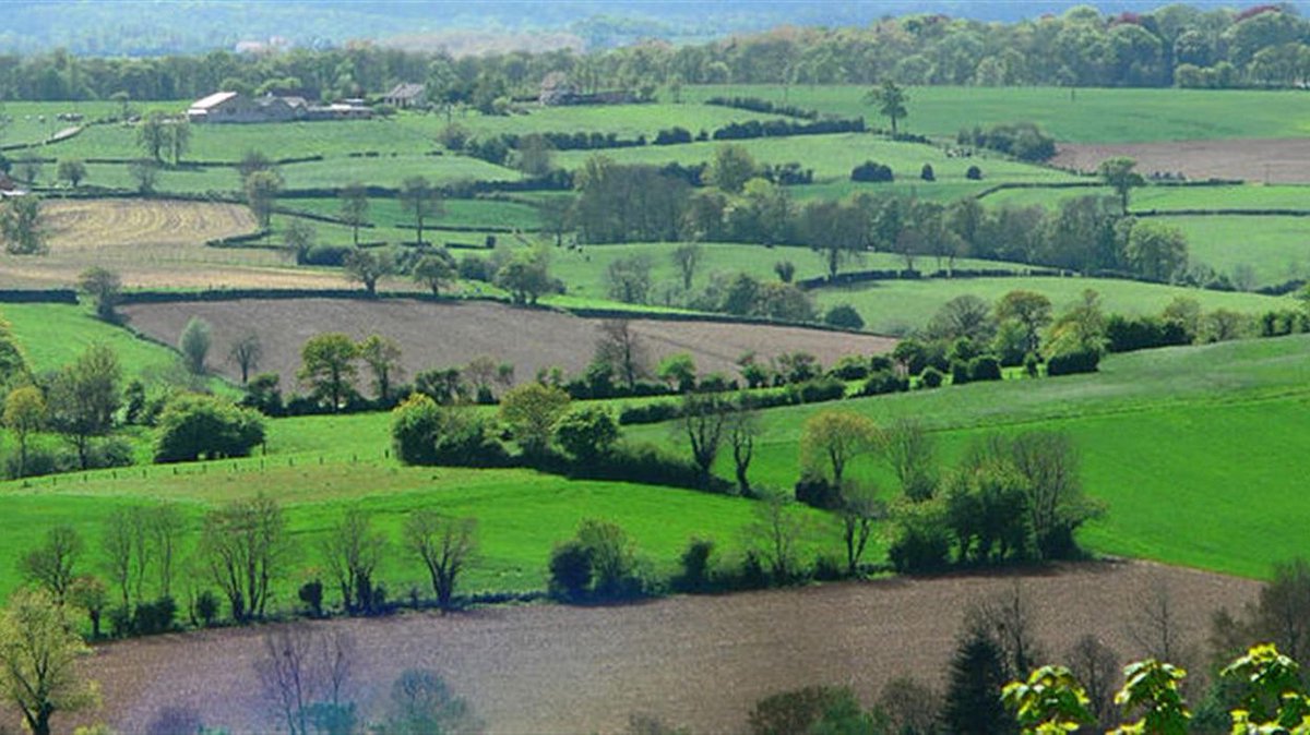 Mais j'avais dit que ce thread parlerait d'agriculture et d'élevage ! C'est le bon moment pour y revenir.Car les systèmes agricoles constituent également des écosystèmes qui ne sont pas moins naturels que des écosystèmes sauvages et dont l'Homme est un acteur majeur.